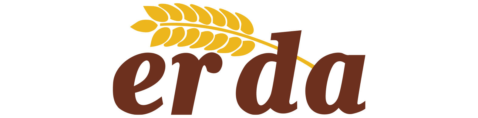 Erda
